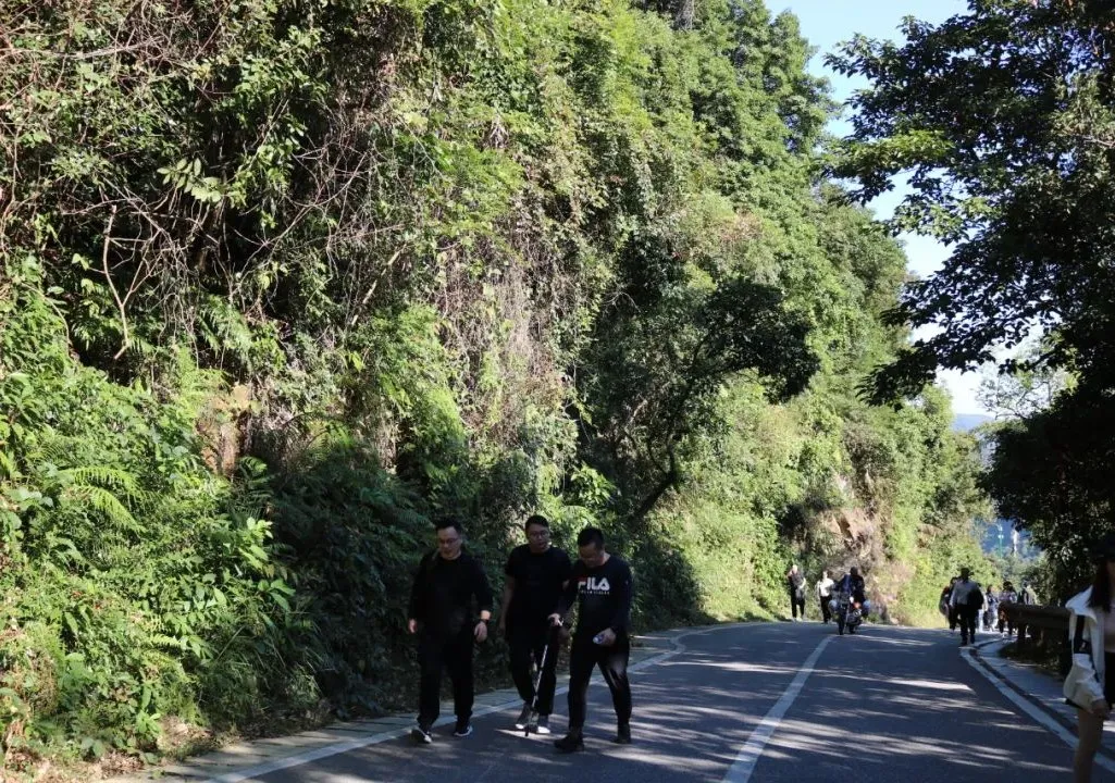 海普天丨市场部团建活动---梧桐山之旅......(图7)