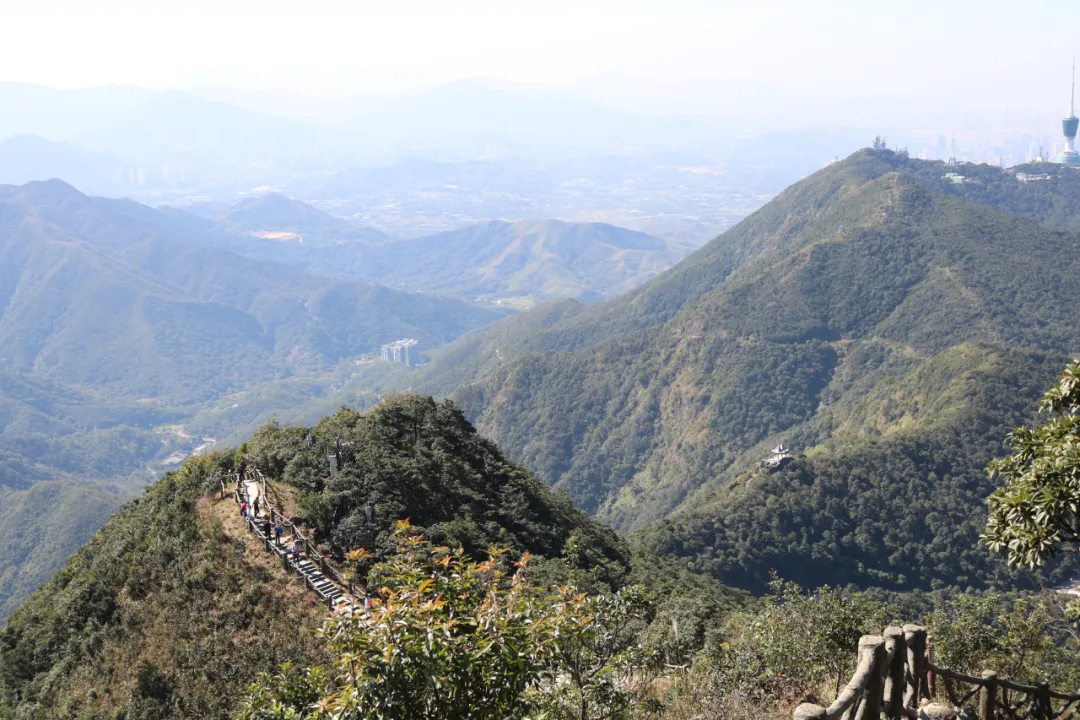 海普天丨市场部团建活动---梧桐山之旅......(图15)