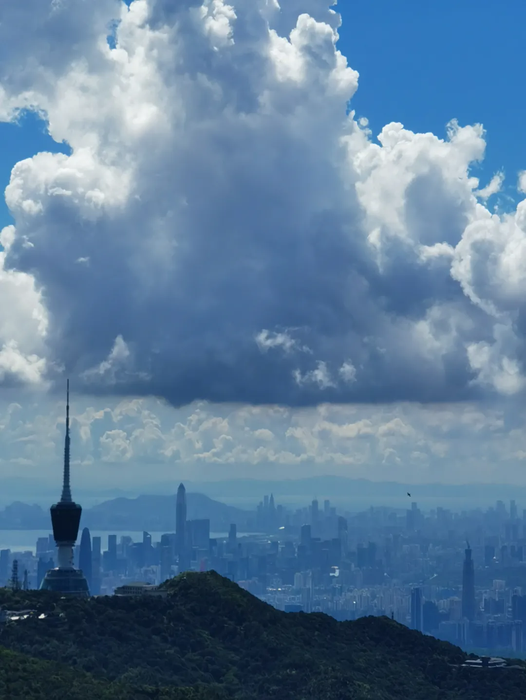 海普天丨市场部团建活动---梧桐山之旅......(图19)